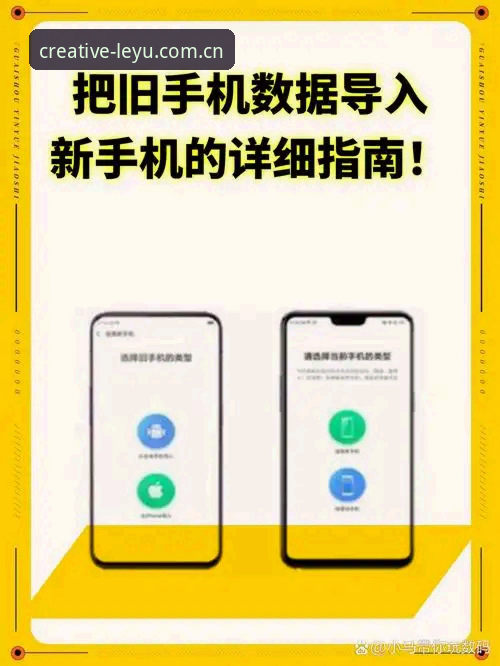 乐鱼手机版更新评测 leiyu乐鱼体育手机版更新评测完整指南:从注册到看数据的实用体验